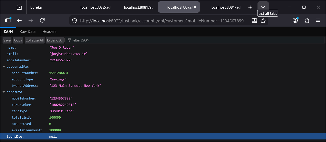 Call Fetch Customer Details Endpoint