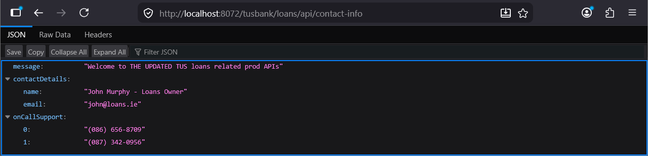 Loans Contact Info Endpoint
